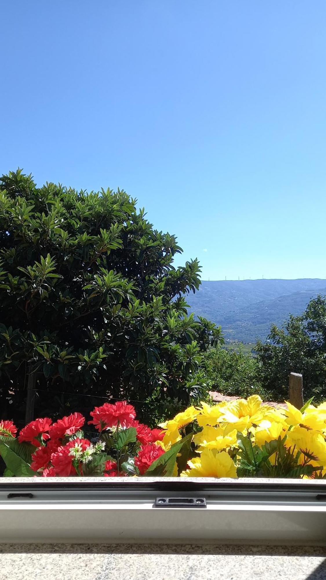 Quinta Da Casa Grande Pinheiro Pension Baião Buitenkant foto