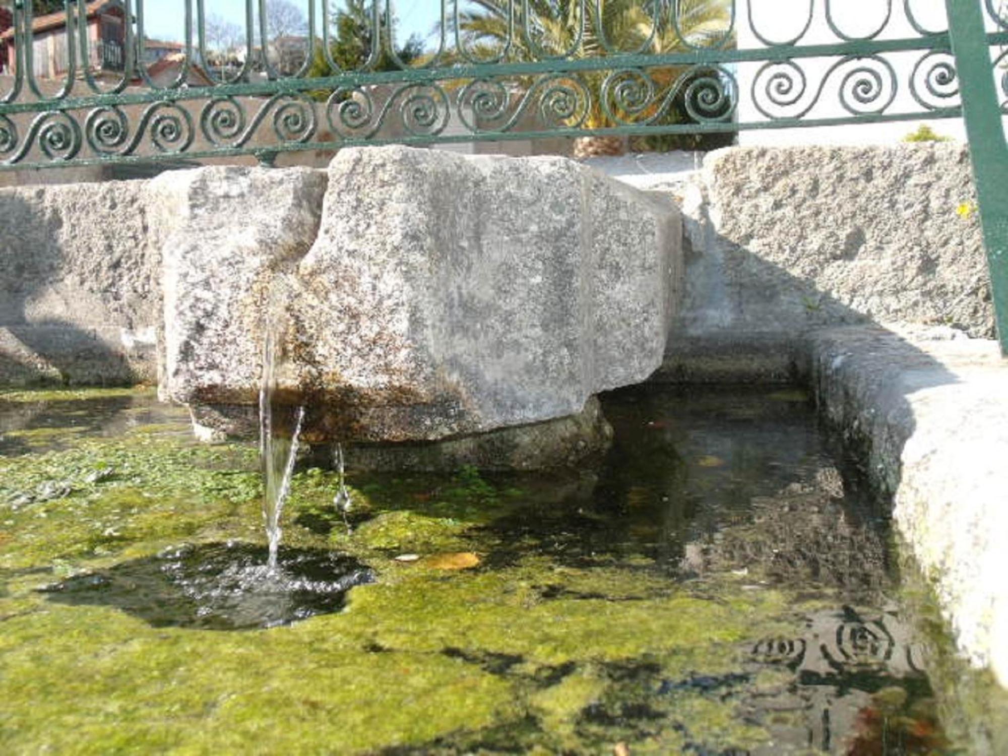 Quinta Da Casa Grande Pinheiro Pension Baião Buitenkant foto