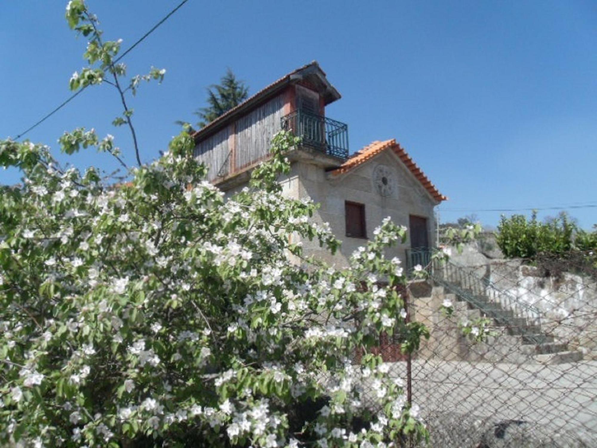 Quinta Da Casa Grande Pinheiro Pension Baião Buitenkant foto